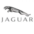 AJP logo